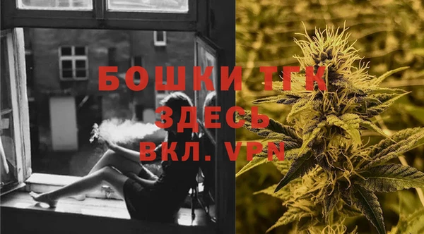 индика Михайловка