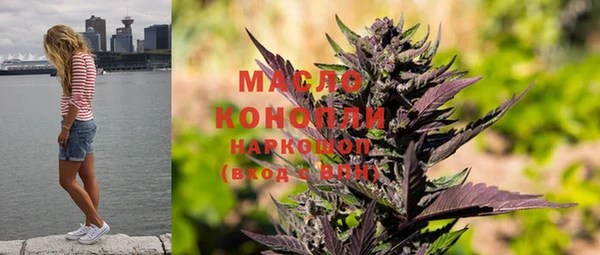 индика Михайловка